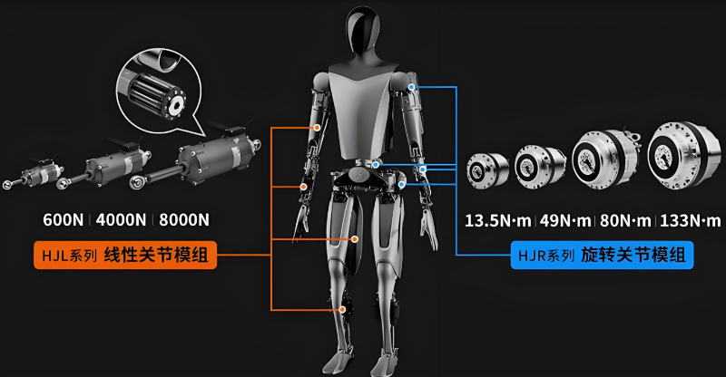人形機器人關節(jié)驅動電機展示圖