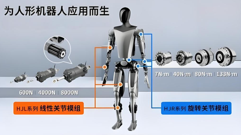 人形機(jī)器人關(guān)節(jié)驅(qū)動電機(jī)部位展示圖