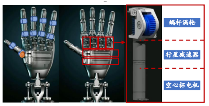 人形機(jī)器人關(guān)節(jié)