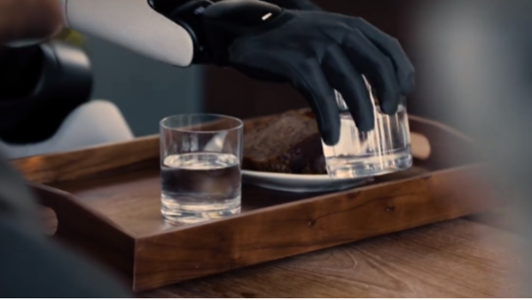 人形機(jī)器人：空心杯電機(jī)&無(wú)框力矩電機(jī)