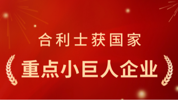 從小巨人到重點小巨人：合利士憑什么再獲國家認可？